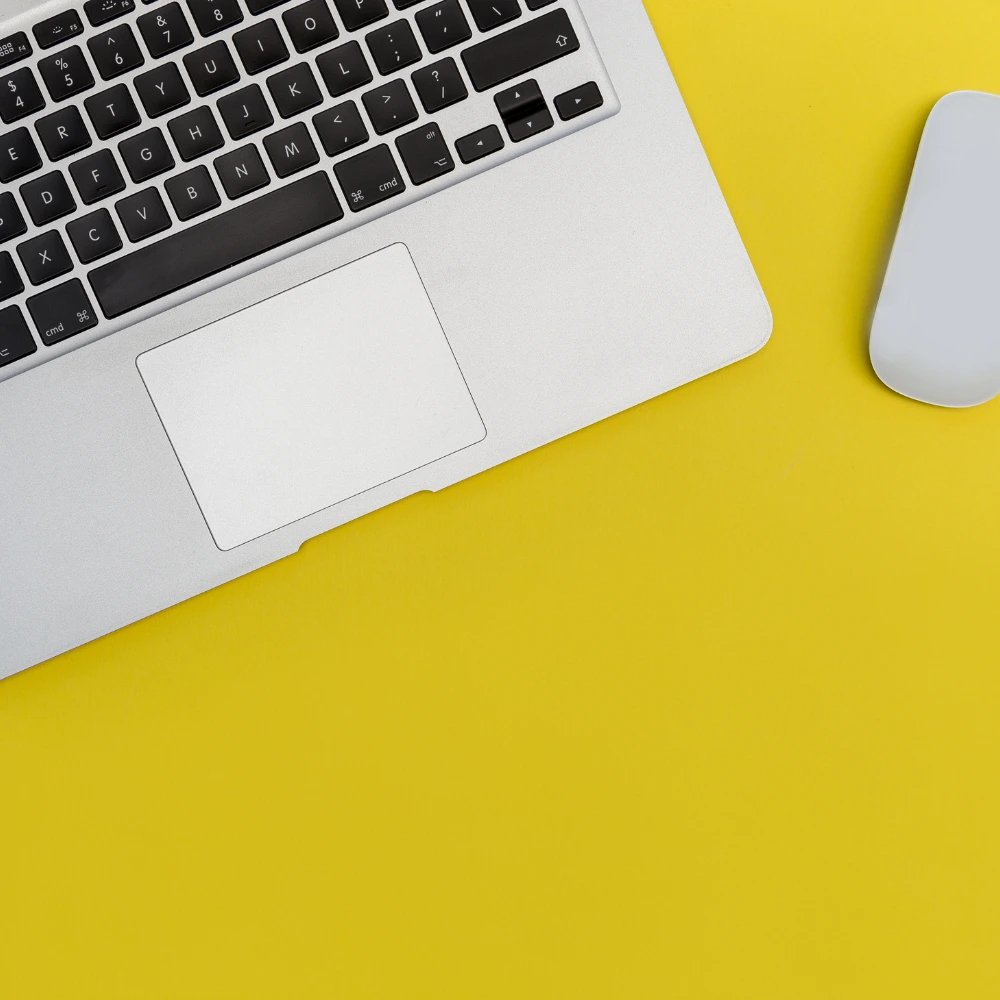 Onderhoud WordPress Website Laptop
